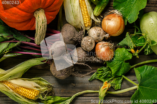 Image of Freshly harvested vegetables with dirt