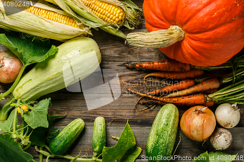 Image of Vegetables on rustic wood background