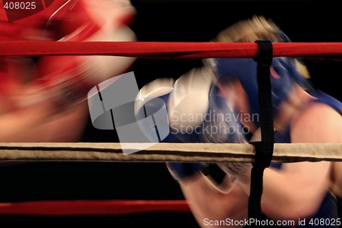 Image of Boxers