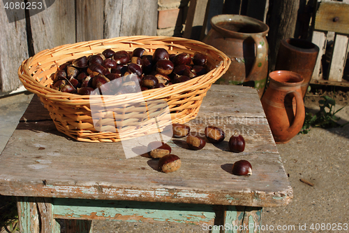 Image of Chestnut in basket