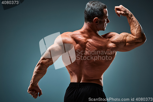 Image of torso of attractive male body builder on gray background.