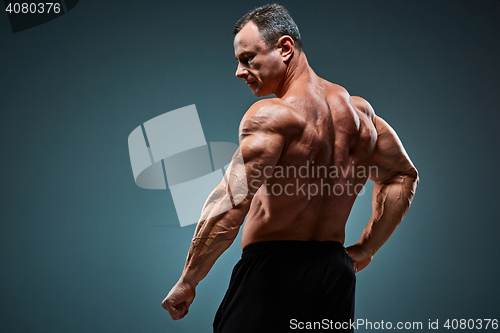 Image of torso of attractive male body builder on gray background.