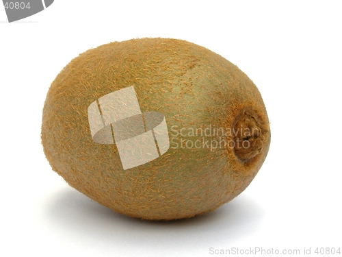 Image of Kiwi