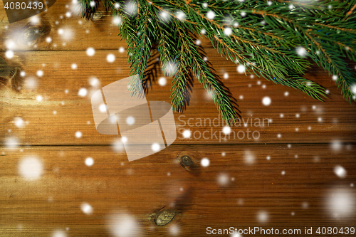 Image of natural green fir branch on blank wooden board