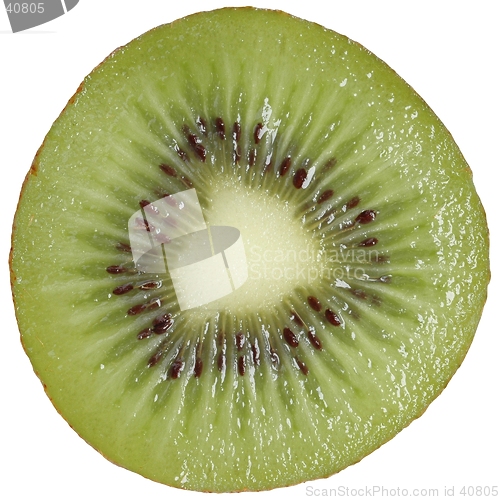 Image of Kiwi