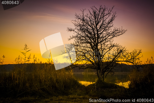 Image of sunset at Osterseen Lake near Iffeldorf Bavaria Germany