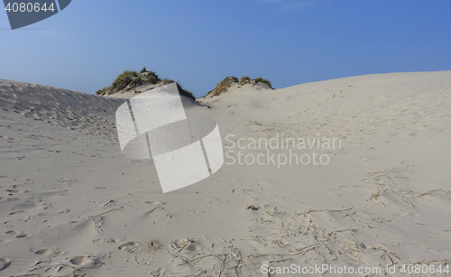 Image of Sand dune