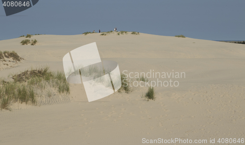 Image of Sand