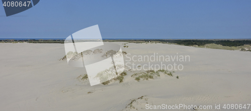 Image of Sand dune