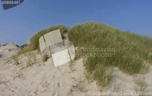 Image of Sand dune