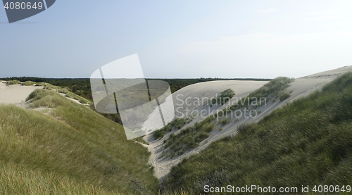 Image of Sand dune