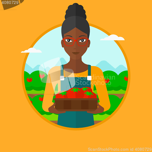 Image of Farmer collecting tomatos vector illustration.