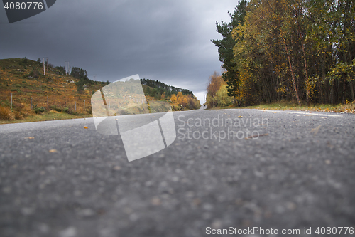 Image of Autumn Road