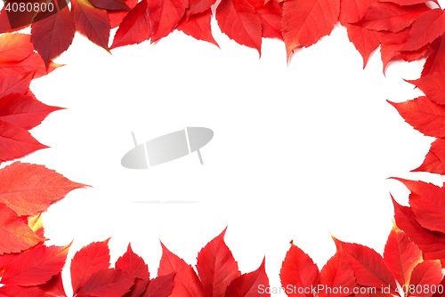 Image of Red autumn leaves frame isolated on white background