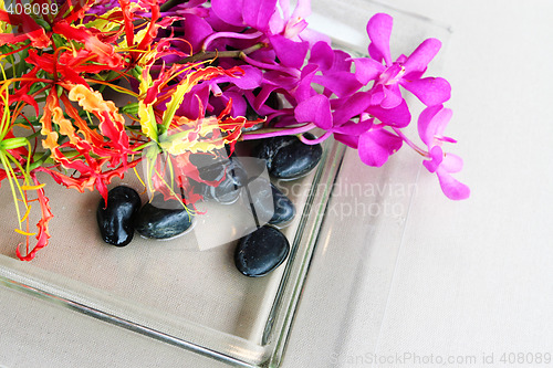 Image of Tropical flowers