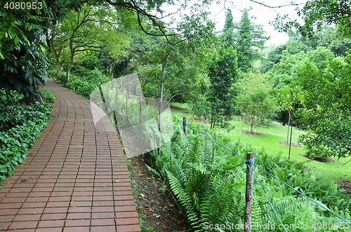 Image of Red brick path in Singapore Botanic Garden  