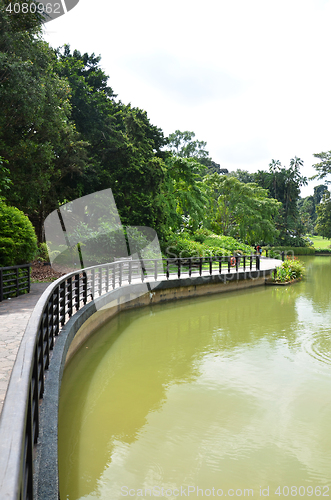 Image of Lake in Singapore Botanic Garden