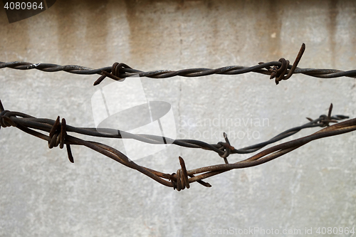 Image of Rusted spiked fence