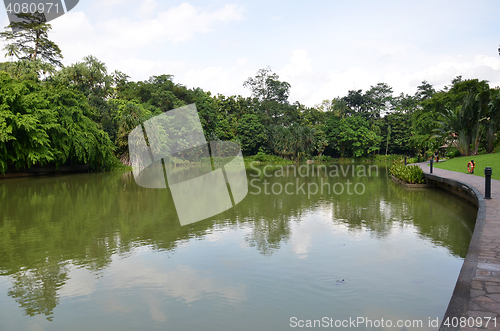 Image of Lake in Singapore Botanic Garden