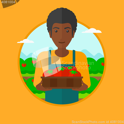 Image of Farmer collecting tomatos vector illustration.