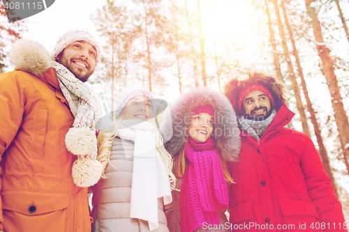 Image of group of smiling men and women in winter forest