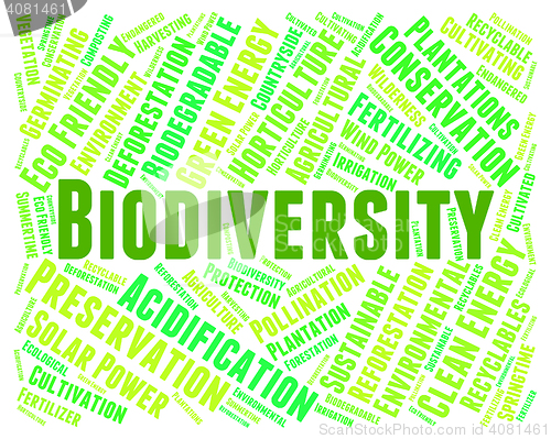 Image of Biodiversity Word Indicates Plant Life And Animal