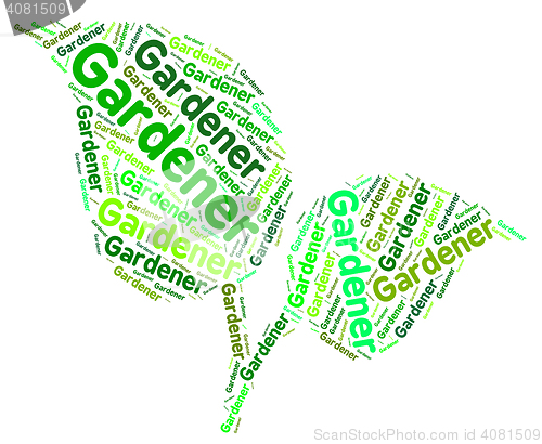 Image of Gardener Word Shows Outside Backyard And Planting