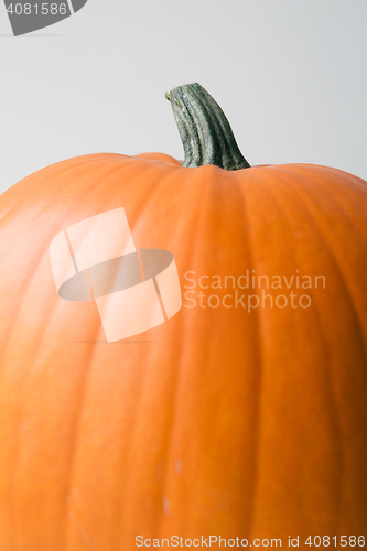 Image of Close-up pumpkin shot