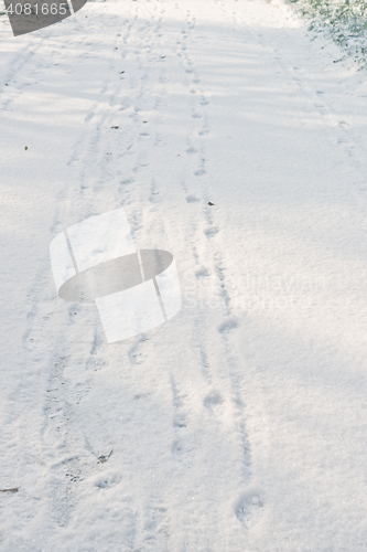 Image of foot prints