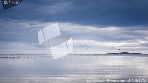 Image of Seasapewith horizon and birds