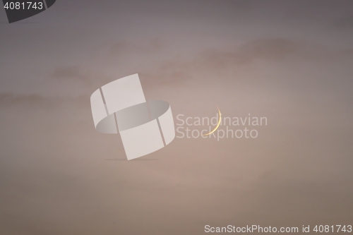 Image of Crescent moon on night sky