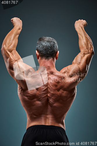 Image of torso of attractive male body builder on gray background.