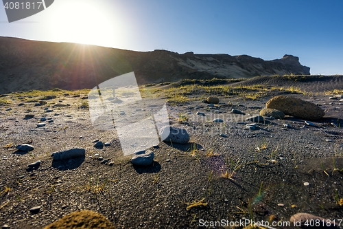 Image of Beach near Vik Iceland