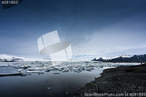 Image of Icebergs at glacier lagoon 