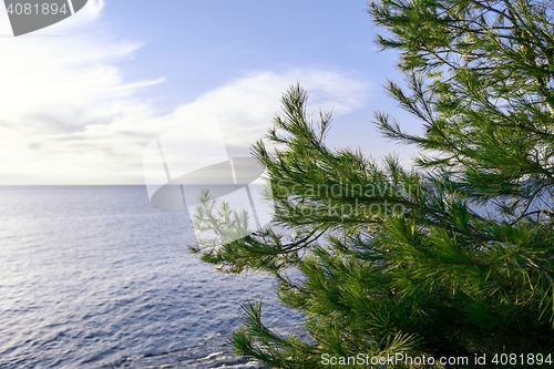 Image of Coastline at Premantura