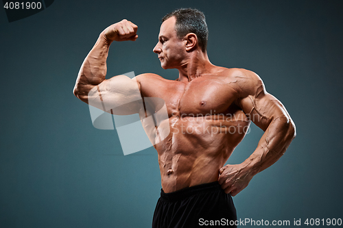 Image of torso of attractive male body builder on gray background.