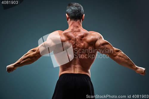 Image of torso of attractive male body builder on gray background.