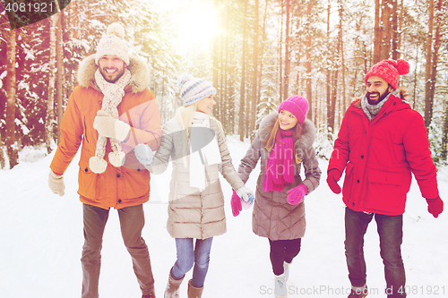 Image of group of smiling men and women in winter forest