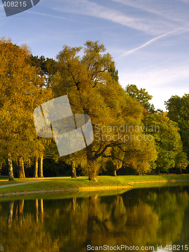 Image of autumnal park