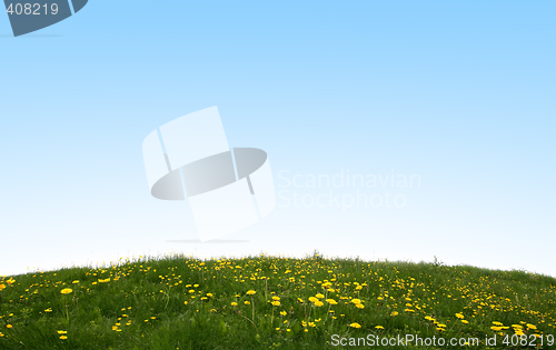 Image of Green Field