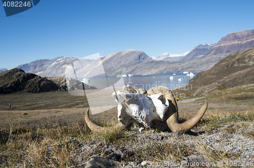 Image of Mountain view in Greenland