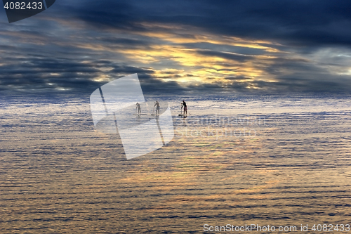 Image of Young people Paddling Together in the sea