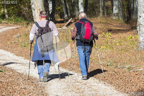 Image of Two older men walking by hiking trail