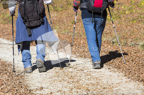 Image of Two older men walking by hiking trail