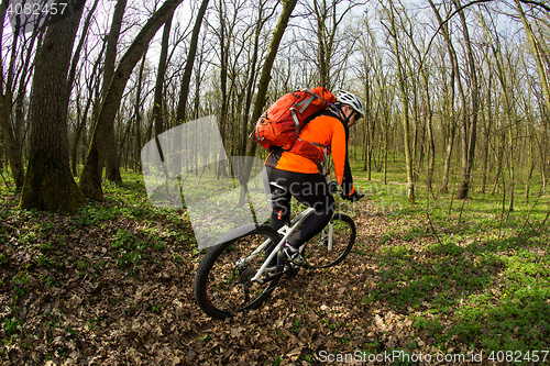 Image of Man bikes in the green forest