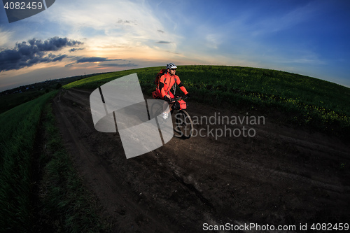 Image of Young man is riding bicycle outside. Healthy Lifestyle.