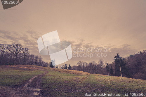 Image of Road on a field by a forest