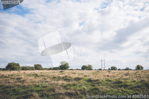 Image of Prairie scenery with bush and trees