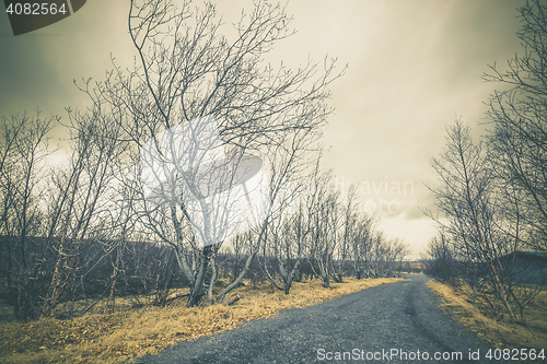 Image of Black gravel road in cloudy weather