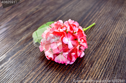 Image of Geranium pink with leaf on wooden board